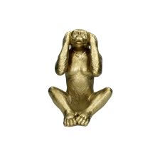  Beeld Monkey