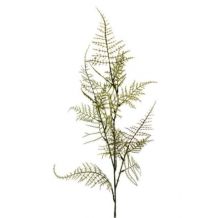 coco maison Kunstbloem Asparagus spray