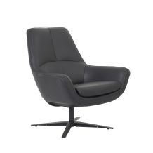 Montel fauteuil Darwin Low
