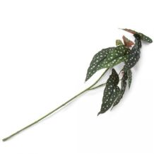 coco maison Kunstplant Begonia maculata spray - 90 cm
